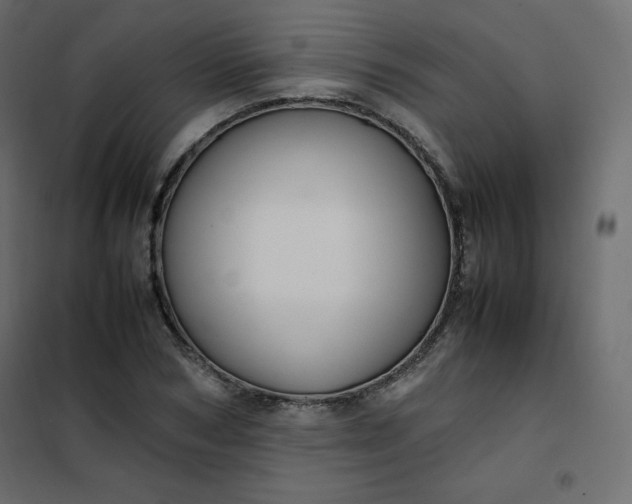 X0000102260978200808081357