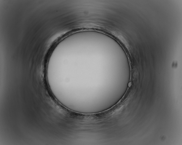 X0000102260979200808081357