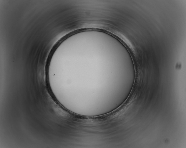 X0000102260980200808081357