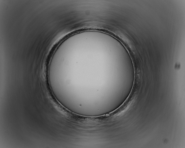 X0000102260981200808081356