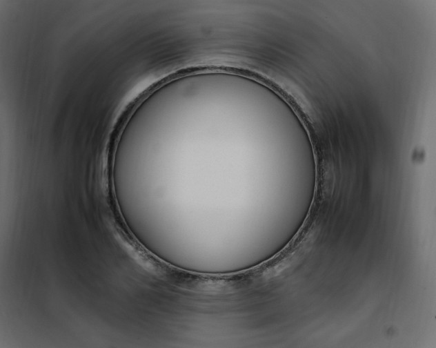 X0000102260982200808081356