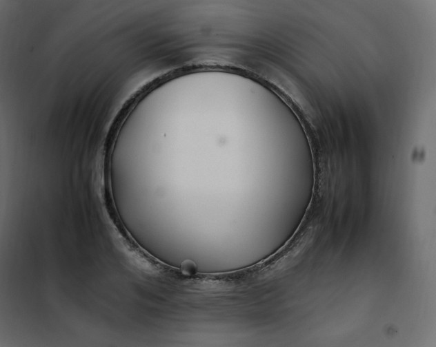 X0000102260984200808081356