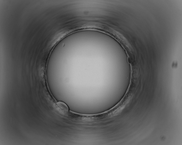 X0000102260985200808081356