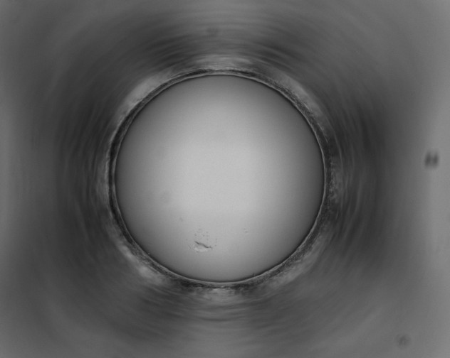 X0000102260986200808081356