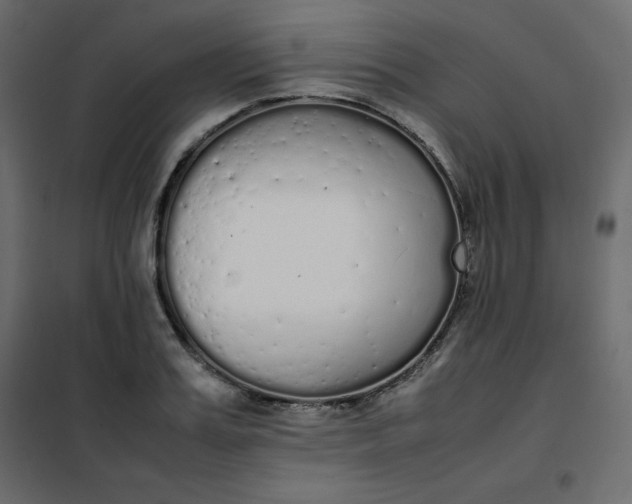 X0000102260987200808081356