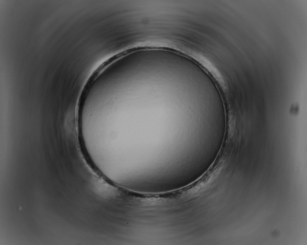 X0000102260988200808081356