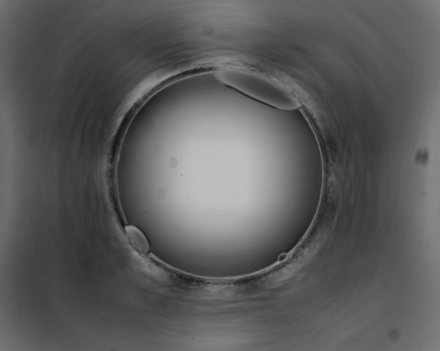 X0000102260989200808081356