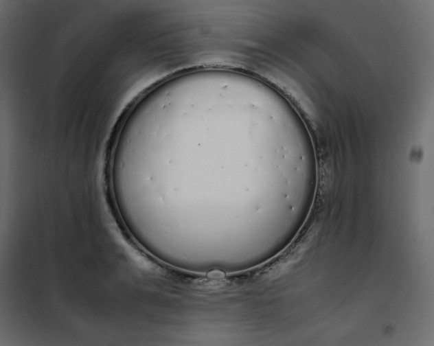 X0000102260991200808081356