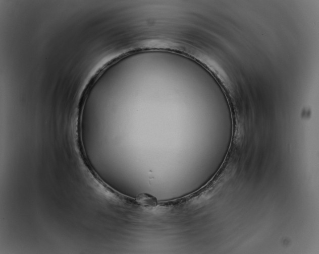 X0000102260992200808081356