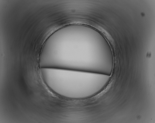 X0000102260993200808081356