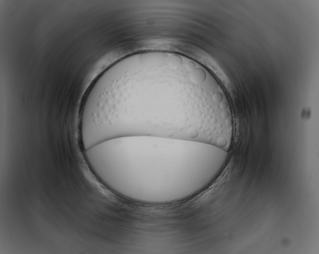 X0000102260994200808081356