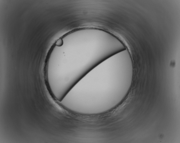 X0000102260995200808081356