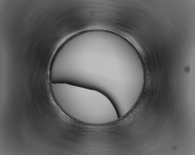 X0000102260996200808081356