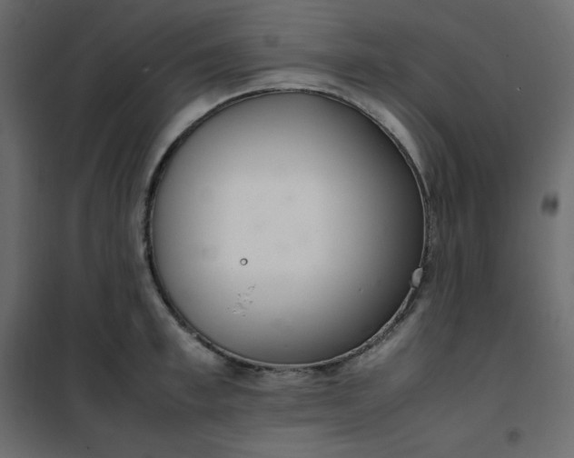 X0000102260997200808081356