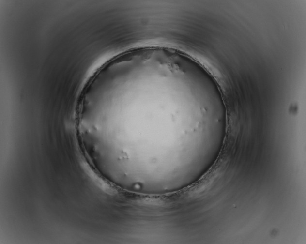 X0000102260998200808081356