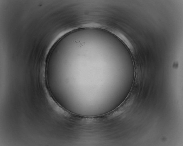 X0000102261000200808081356