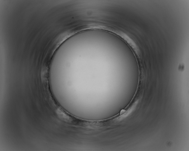 X0000102261001200808081356