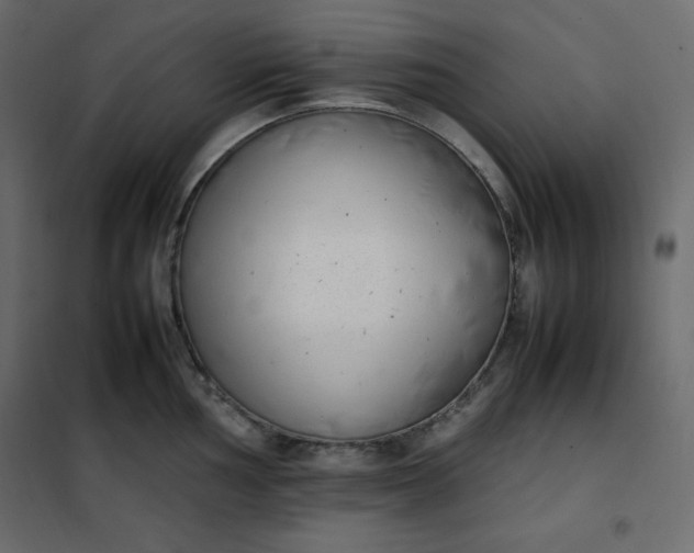 X0000102261002200808081356