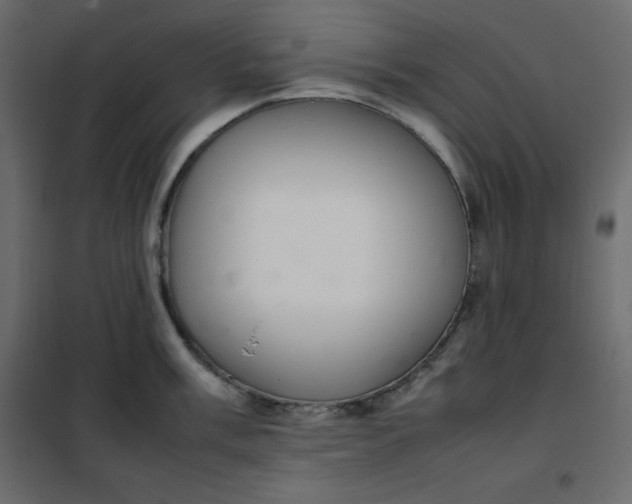 X0000102261003200808081356