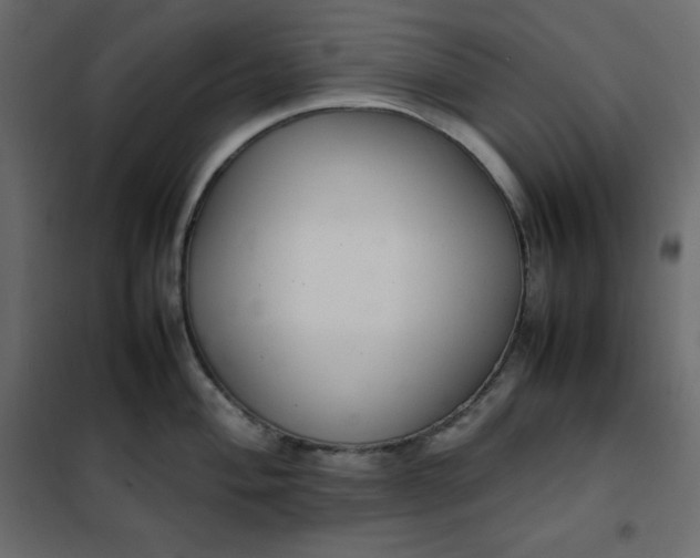 X0000102261004200808081356