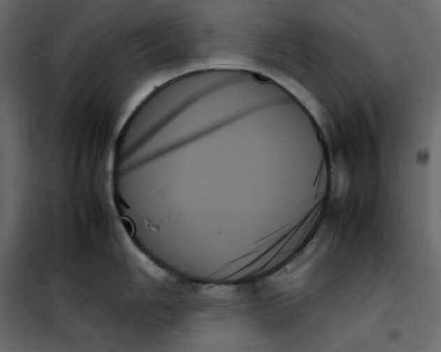 X0000102261006200808081356