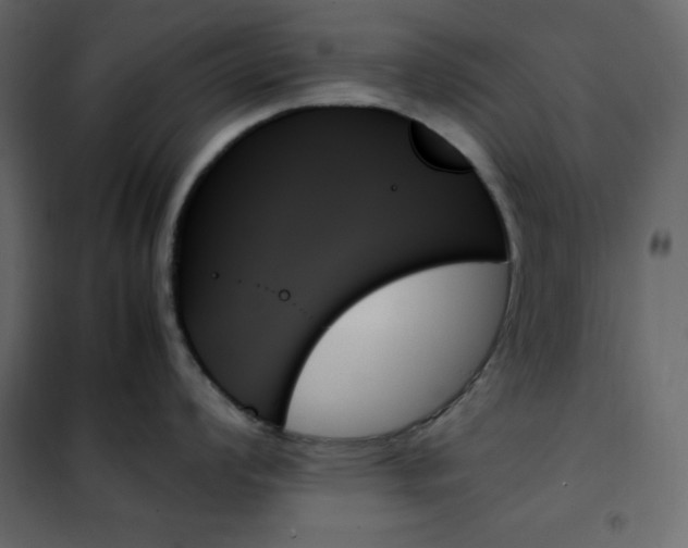 X0000102261008200808081356