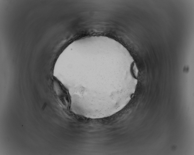 X0000102261009200808081355