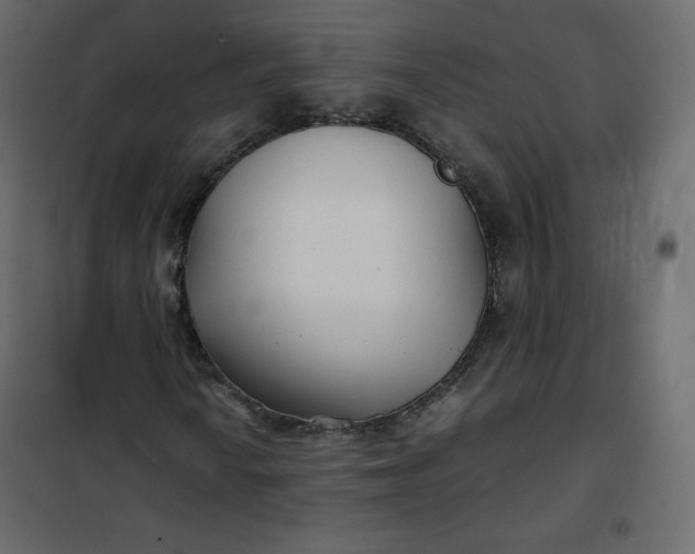 X0000102261010200808081355