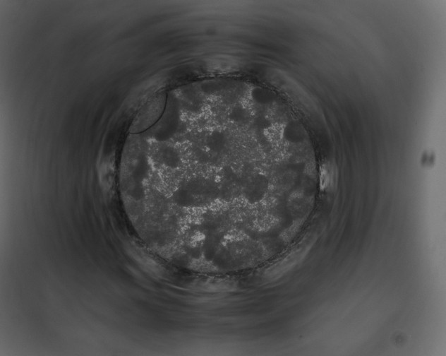 X0000102261011200808081355