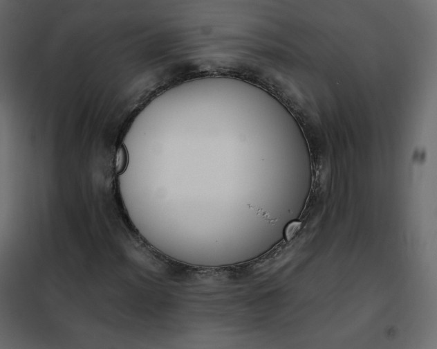 X0000102261012200808081355