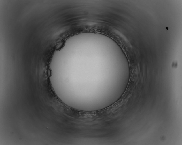 X0000102261013200808081355