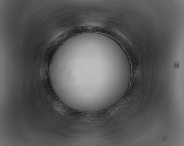 X0000102261014200808081355