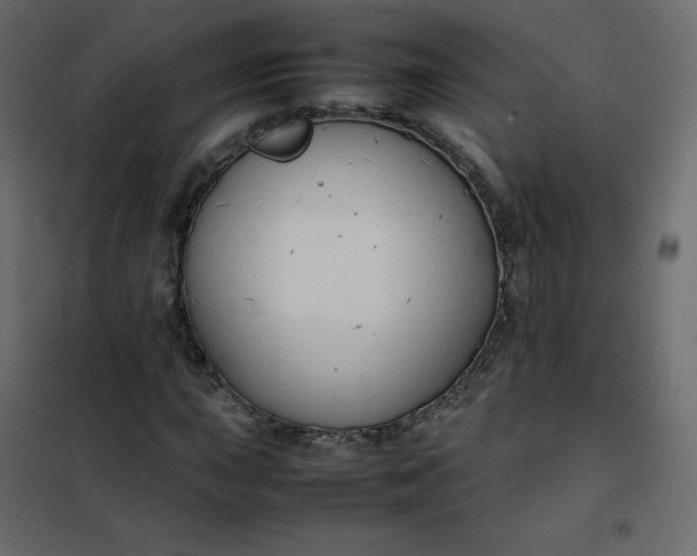 X0000102261015200808081355