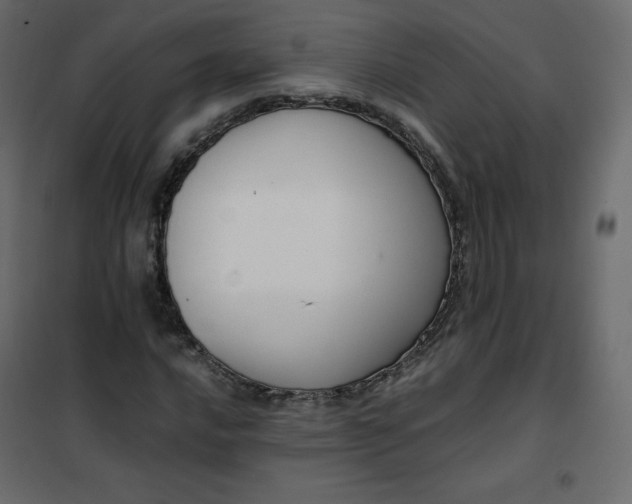 X0000102261016200808081355