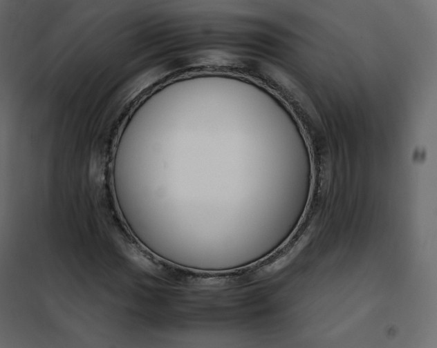 X0000102261017200808081355