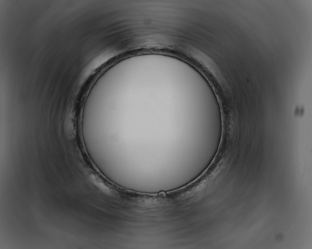 X0000102261018200808081355