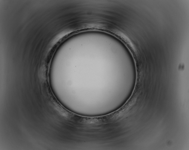 X0000102261019200808081355