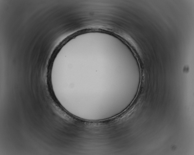 X0000102261020200808081356