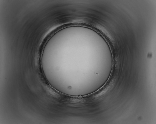 X0000102261021200808081356