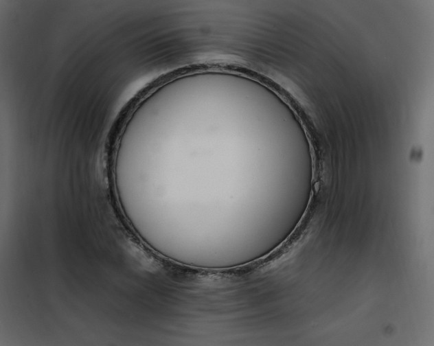 X0000102261022200808081356