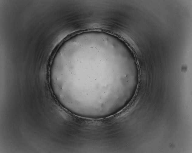 X0000102261023200808081356