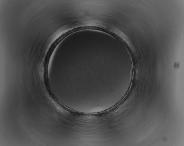 X0000102261024200808081356