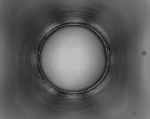 X0000102261025200808081356