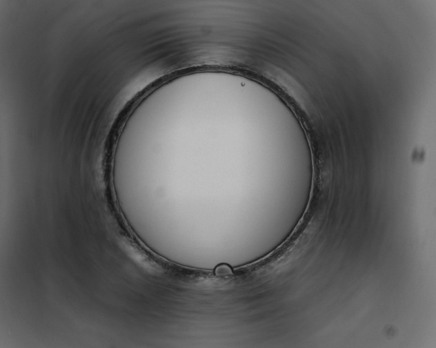 X0000102261026200808081356