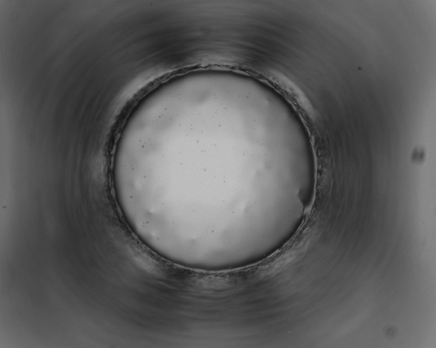 X0000102261027200808081356