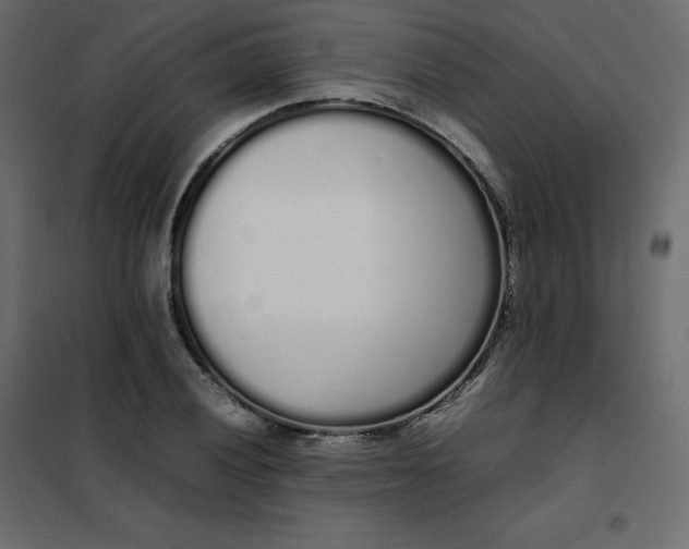 X0000102261028200808081356