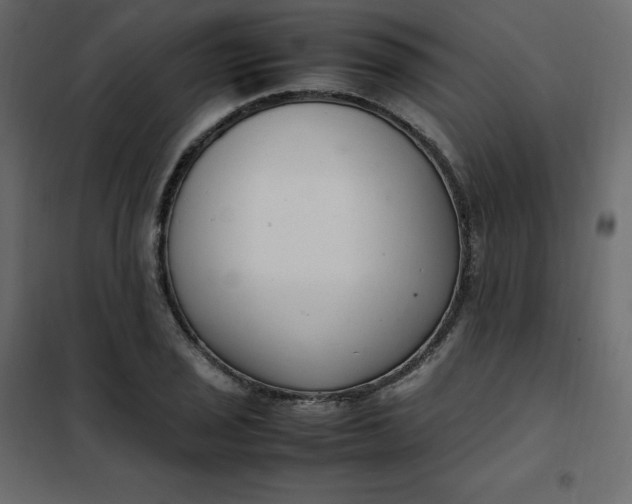 X0000102261029200808081356