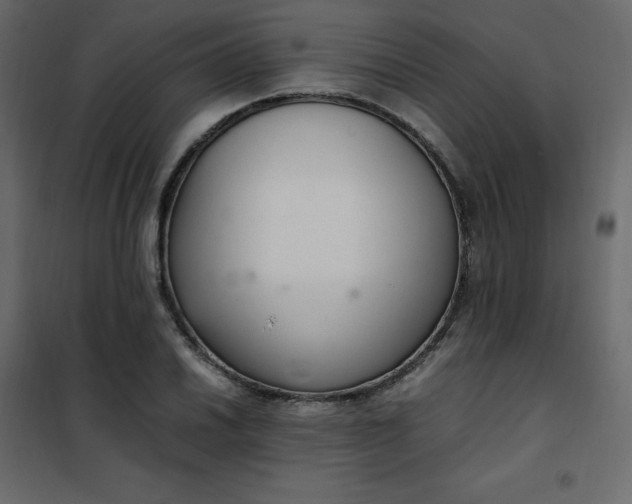 X0000102261030200808081356