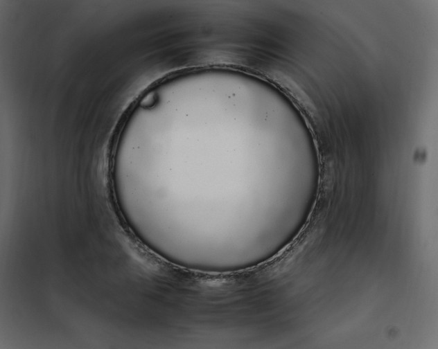 X0000102261031200808081356