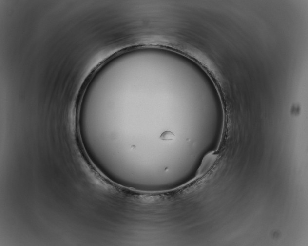 X0000102261032200808081356